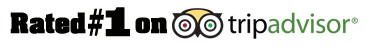 #1Tripadvisor